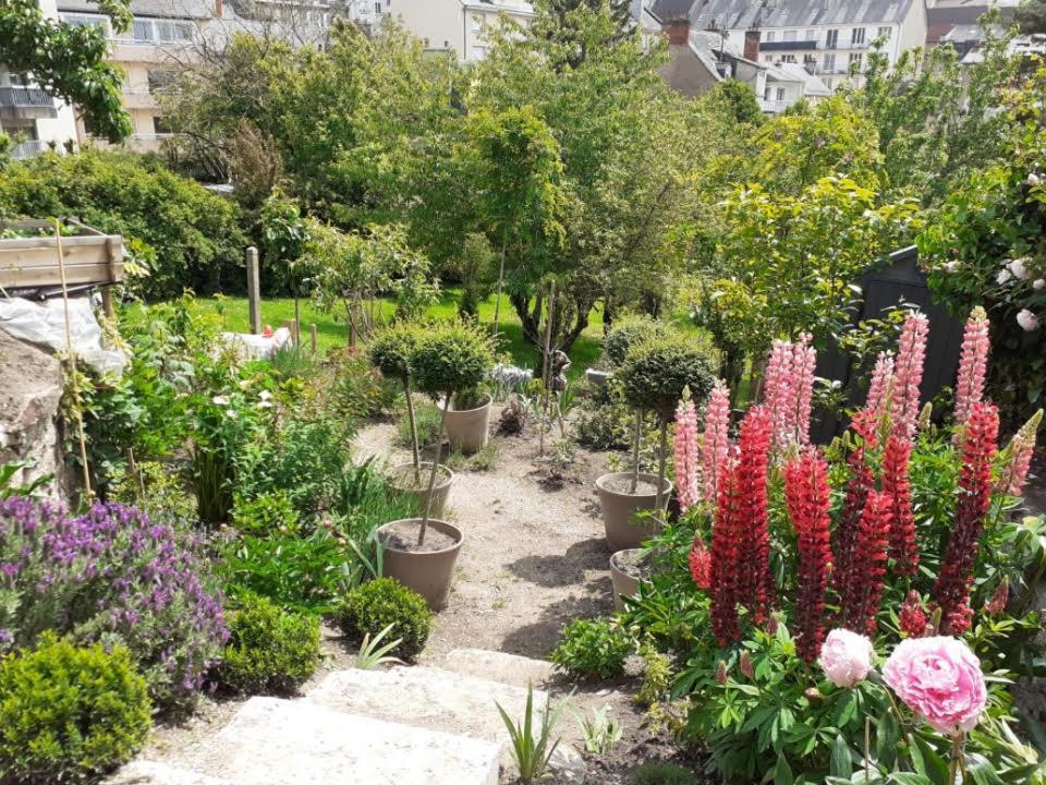 Apartmán Havre De Paix Rodez Exteriér fotografie